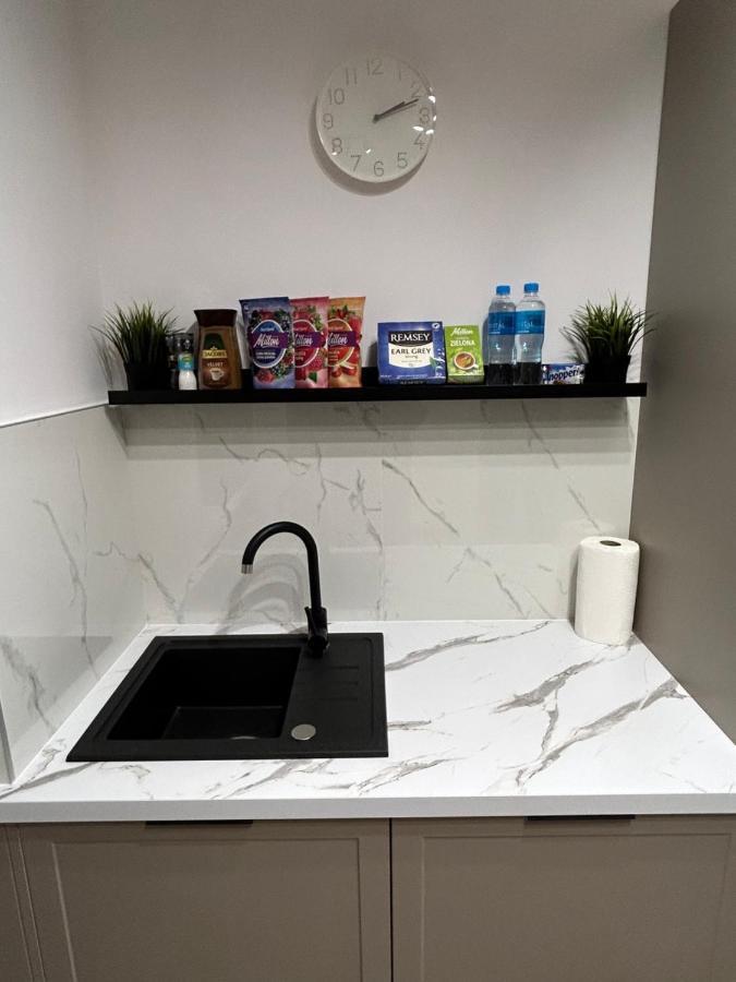 Apartment Diasfera Premium Lodz (Lodz)
